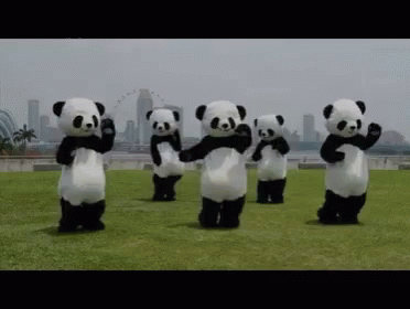 panda-panda-dance.gif
