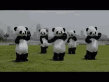 Panda Panda Dance GIF - Panda Panda Dance Happy GIFs