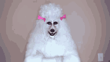 Poodle Scary GIF - Poodle Scary Human GIFs