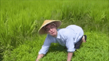 Filthy Frank Rice Fields GIF - Filthy Frank Rice Fields GIFs