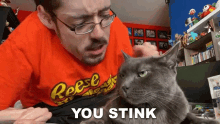 You Stink Ricky Berwick GIF - You Stink Ricky Berwick Cat GIFs