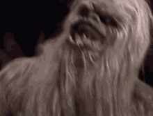 Ogvhs Wookie GIF - Ogvhs Wookie Swhs GIFs