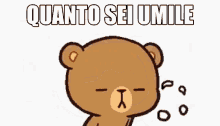 umile umilt%C3%A0 humble so humble youre so humble umile umilt%C3%A0 humble so humble youre so humble