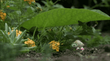 Marcel The Shell Rain GIF - Marcel The Shell Rain Contemplating GIFs