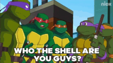 Tmnt Raphael GIF - Tmnt Raphael Who The Shell Are You Guys GIFs