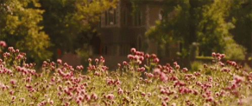Spring Flowers GIF - Spring Flowers Bees - Discover & Share GIFs