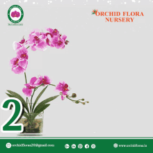 Orchidfloraa Happy New Year GIF - Orchidfloraa Happy New Year GIFs