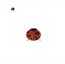 ladybug dancing bugs