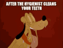 After The Hygienist Cleans Your Teeth White Teeth GIF - After The Hygienist Cleans Your Teeth Clean White Teeth GIFs