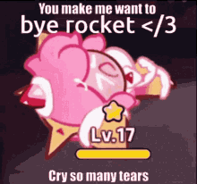 bye rocket