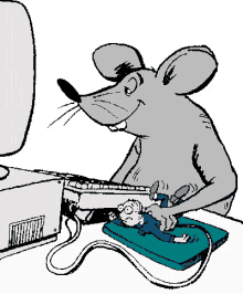 mouse working