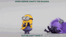 Bernie Banana GIF - Bernie Banana GIFs