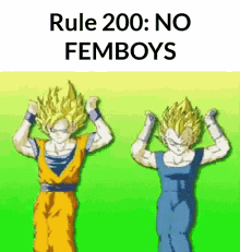 rule200-no-femboys.gif