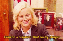 parks and recreation leslie knope stings amy poehler