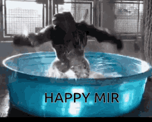 Happy Mir Monkey GIF - Happy Mir Monkey Gorilla GIFs