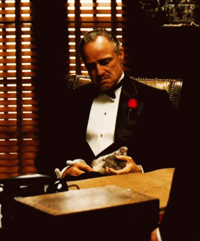 Godfather Cat GIF - Godfather Cat Petting - Discover & Share GIFs