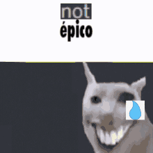 Not Epico GIF - Not Epico GIFs