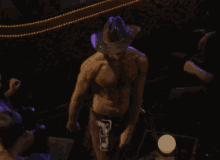 shirtless walker stripper hoyt dance shirtless walker stripper hoyt dance