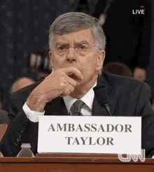 Ambassador Taylor Thinking GIF - Ambassador Taylor Thinking GIFs