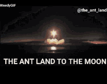 to the moon the ant land nft nfts ant