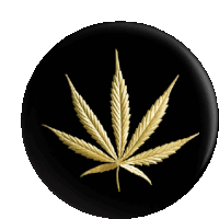 Cannfield Cannabis Sticker - Cannfield Cannabis Marijuana Stickers