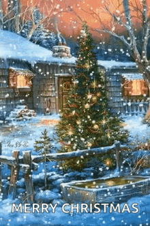 merry christmas snow christmas tree winter