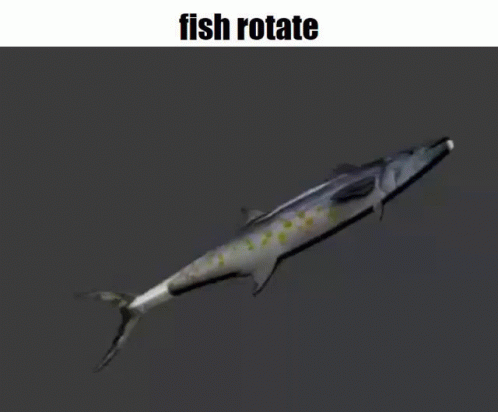 fish-rotate.gif