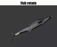 Fish Rotate GIF - Fish Rotate Fish Rotate GIFs
