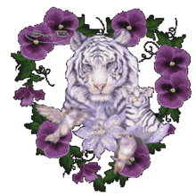 tiger purple tiger purple flowers tiger flowers glittery