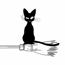 Black Cat Cat GIF - Black Cat Cat Broom GIFs