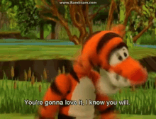 The Book Of Pooh Tigger GIF - The Book Of Pooh Tigger Youre Gonna Love You GIFs