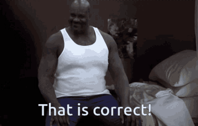 That Is Correct Shaq GIF - That Is Correct Correct Shaq - Discover ...
