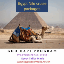 pyramids tour egypt packages camel