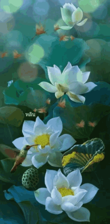 Wallpaper Tumblr Gif Water And Lotus 3d Image Num 25