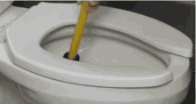 Plunger Toilet GIF - Plunger Toilet GIFs