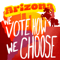 Arizona Arizona We Vote How We Choose Sticker - Arizona Arizona We Vote How We Choose We Vote How We Choose Stickers