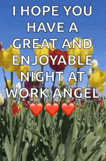 flowers windy i hope you have an enjoyable night at work angel
