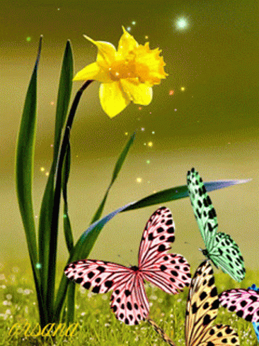 Butterflies Sparkling GIF - Butterflies Sparkling Flowers GIFs
