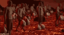 xrp ripple hell bags bagholder xrp ripple hell bags bagholder