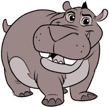 hippo hippopotamus animal smile cute