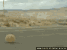 Middle Of Nowhere GIF - Middle Of Nowhere Tumbleweed Desert GIFs