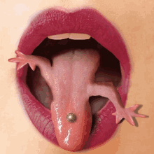 Tongue Out Lizard GIF - Tongue Out Tongue Lizard GIFs