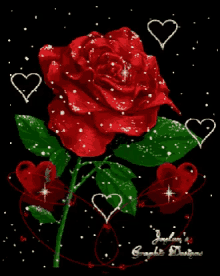 Rosa Amor GIF - Rosa Amor Rose GIFs