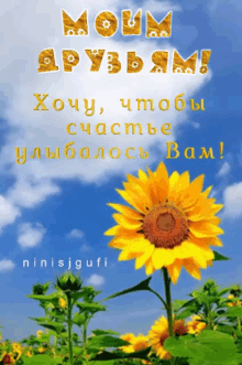 Ninisjgufi Sunflower GIF - Ninisjgufi Sunflower друзьям GIFs