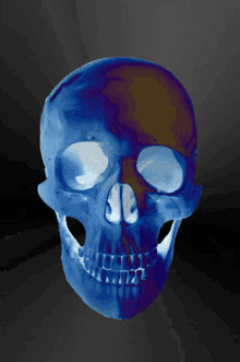 skull blue cranium head