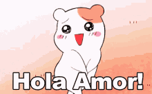 Hola Amor GIF - Hola Amor Hamster Shy GIFs