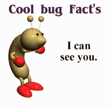 Bugs Bug Facts GIF - Bugs Bug Bug Facts GIFs