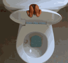 Klozet GIF - Klozet Tuvalet GIFs