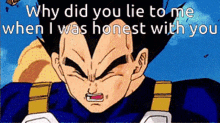 Why Did You Lie To Me When I Was Honest With You GIF - Why Did You Lie To Me When I Was Honest With You Vegeta GIFs
