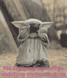 Me Enjoying My Coffee Watching My Succis Grow GIF - Me Enjoying My Coffee Watching My Succis Grow Baby Yoda GIFs